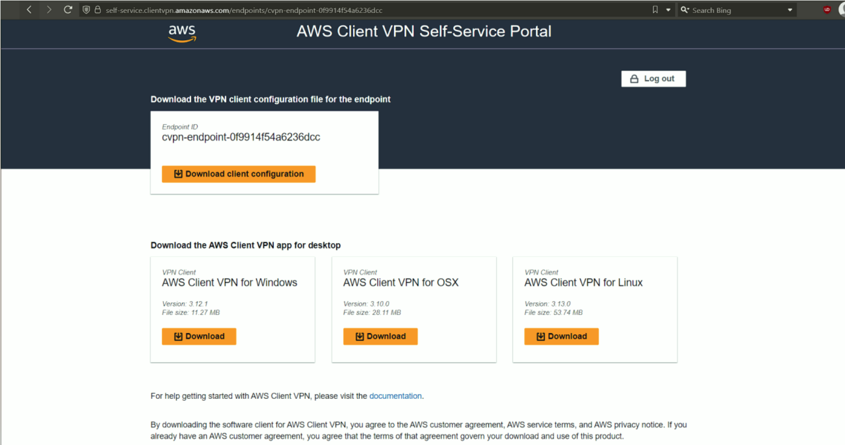 screenshot_aws_client_self-service_portal.png